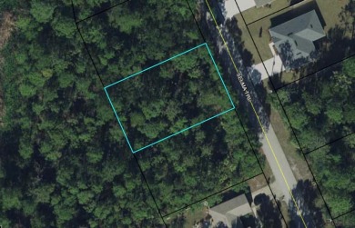 Beach Lot Off Market in Palm Coast, Florida