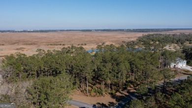 Beach Lot For Sale in Waverly, Georgia