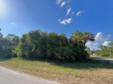 Beach Lot For Sale in Port Charlotte, Florida