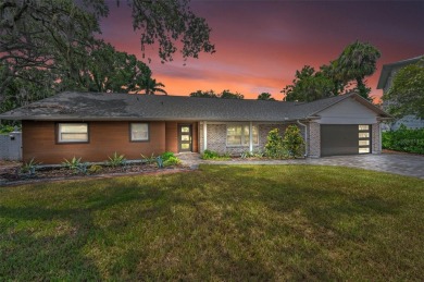 Beach Home For Sale in Tampa, Florida