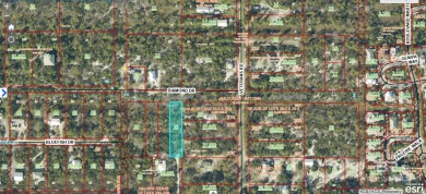 Beach Lot For Sale in Gulf Shores, Alabama