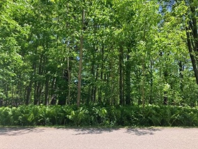 Beach Lot For Sale in Alanson, Michigan