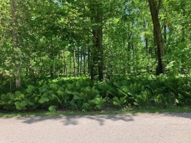 Beach Lot For Sale in Alanson, Michigan