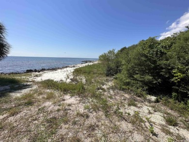 Beach Lot For Sale in Carabelle, Florida