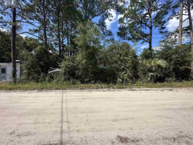 Beach Lot For Sale in Panacea, Florida