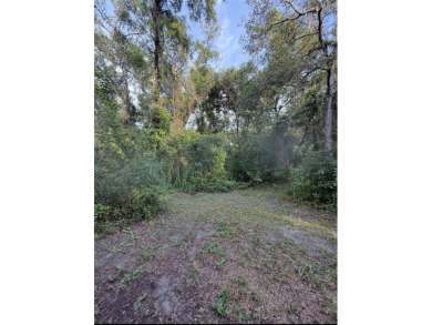 Beach Lot For Sale in Hudson, Florida