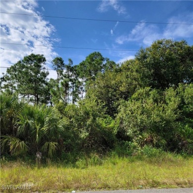 Beach Lot For Sale in Lehigh Acres, Florida