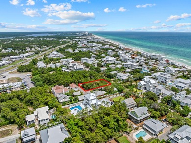 Beach Lot For Sale in Inlet Beach, Florida