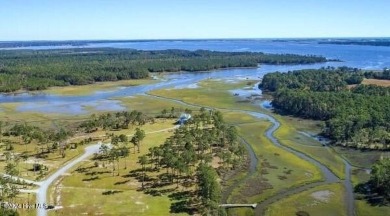 Beach Lot For Sale in Newport, North Carolina