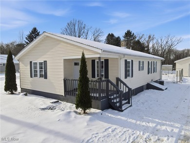 Beach Home For Sale in Geneva, Ohio