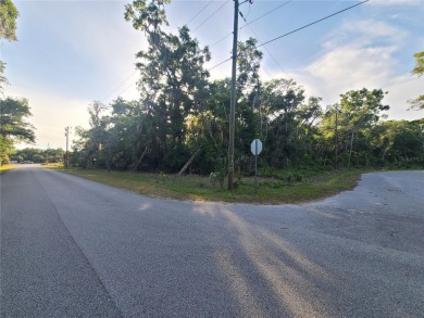 Beach Acreage For Sale in Crystal River, Florida