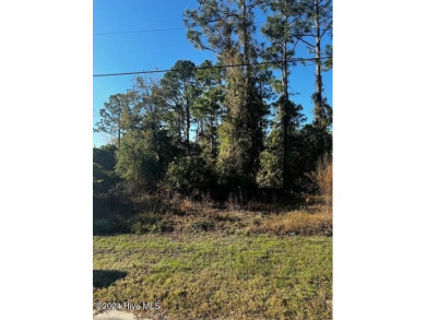 Beach Lot Sale Pending in Southport, North Carolina