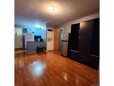 Beach Condo For Sale in Flushing, New York