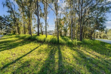 Beach Lot For Sale in Riverview, Florida