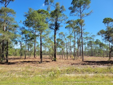 Beach Lot For Sale in Ochlockonee Bay, Florida