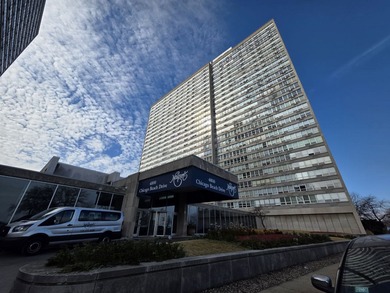 Beach Condo For Sale in Chicago, Illinois