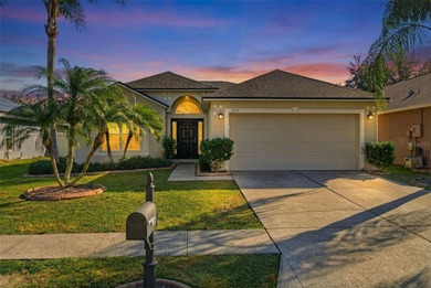 Beach Home For Sale in Land O Lakes, Florida