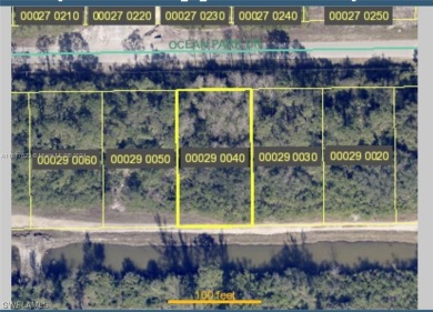 Beach Lot For Sale in Lehigh Acres, Florida