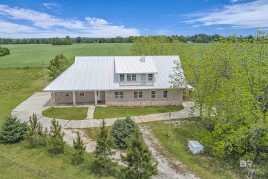 Beach Home For Sale in Elberta, Alabama