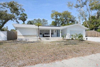 Beach Home Sale Pending in St. Petersburg, Florida