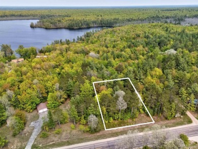 Beach Lot For Sale in Manistique, Michigan