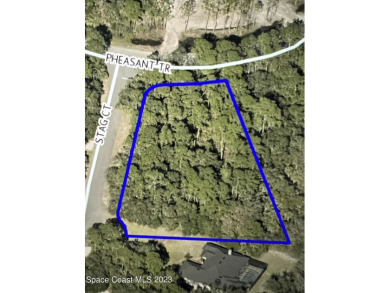 Beach Lot For Sale in Mims, Florida