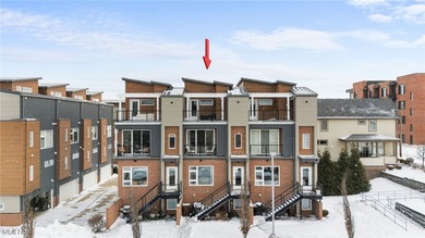 Beach Townhome/Townhouse For Sale in Cleveland, Ohio