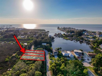 Beach Lot For Sale in Hudson, Florida