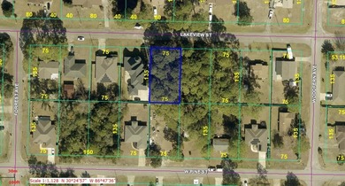 Beach Lot For Sale in Mary Esther, Florida