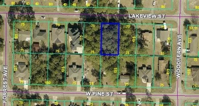 Beach Lot For Sale in Mary Esther, Florida