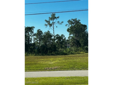 Beach Lot For Sale in Punta Gorda, Florida