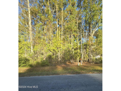 Beach Lot For Sale in Blounts Creek, North Carolina