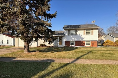 Home For Sale in Lorain image photo picture