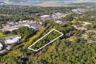 Beach Acreage For Sale in Charleston, South Carolina