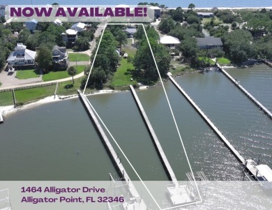 Beach Home For Sale in Alligator Point, Florida