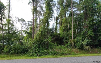 Beach Lot Off Market in Palm Coast, Florida