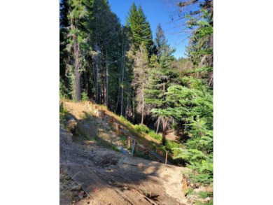 Beach Lot For Sale in Boulder Creek, California