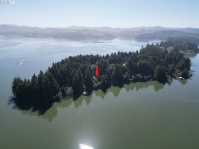 Beach Lot For Sale in Westlake, Oregon