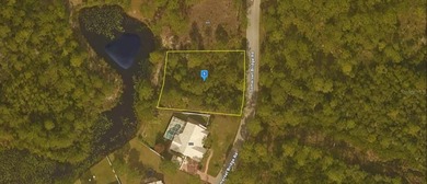 Beach Lot For Sale in Santa Rosa Beach, Florida