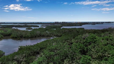 Beach Condo For Sale in Osprey, Florida