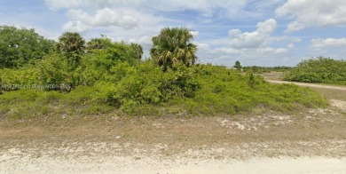 Beach Lot For Sale in Lehigh Acres, Florida