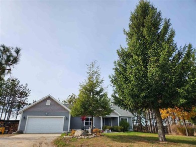 Beach Home For Sale in Ellsworth, Michigan