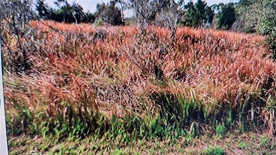 Beach Lot For Sale in North Port, Florida