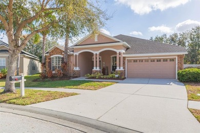Beach Home For Sale in Land O Lakes, Florida