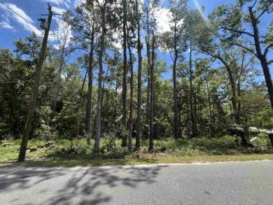 Beach Lot For Sale in Crawfordville, Florida