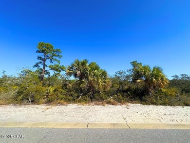 Beach Lot For Sale in Port St Joe, Florida
