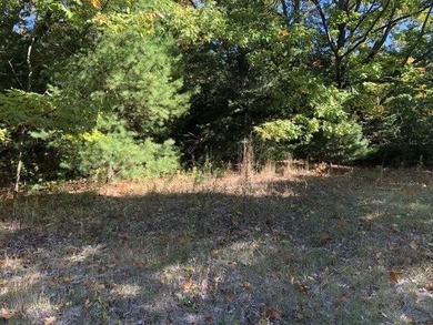 Beach Lot For Sale in Mackinaw City, Michigan