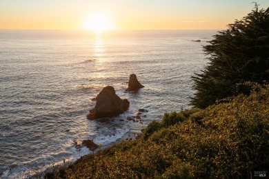 Beach Home For Sale in Albion, California