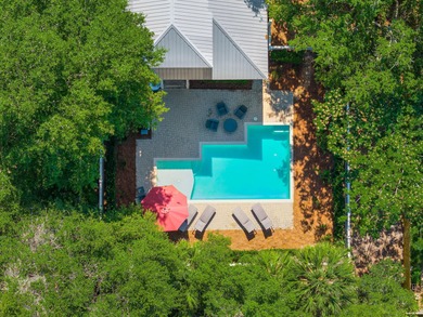 Beach Home For Sale in Inlet Beach, Florida