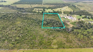 Beach Acreage For Sale in Wewahitchka, Florida